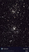 Double Cluster NGC 869/884