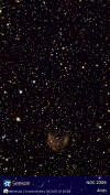 NGC2395 PK205+14.1 (Medusa)