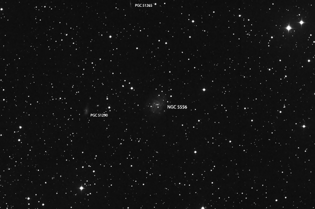 NGC 5556