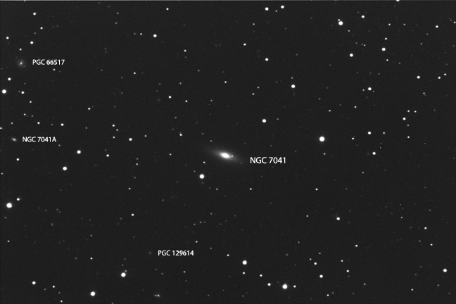 NGC 7041