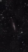 Caldwell 3 (NGC 4236)
