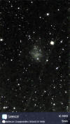 Caldwell 51 (IC1613)