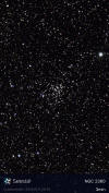 C58  NGC 2360