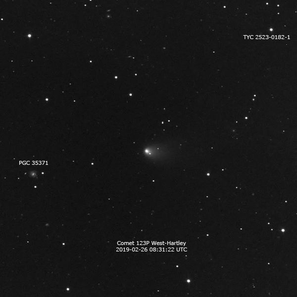 Comet 123P West-Hartley