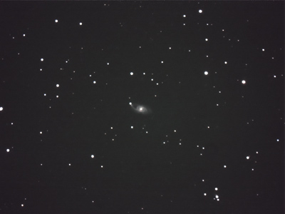 NGC 151 DAV