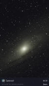 M31