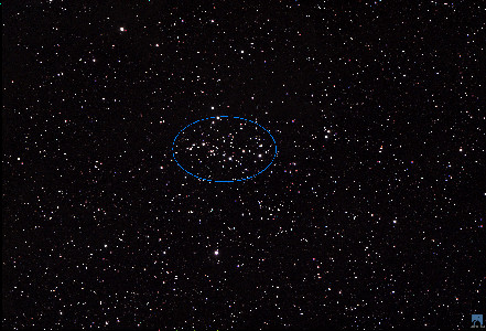 021 NGC 1342