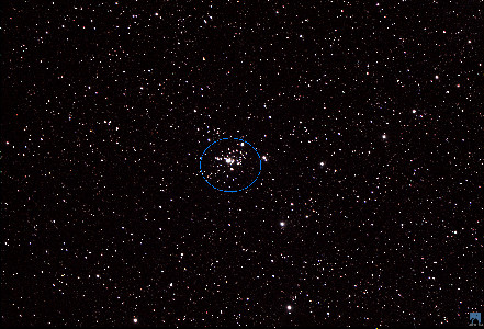027  NGC 1502