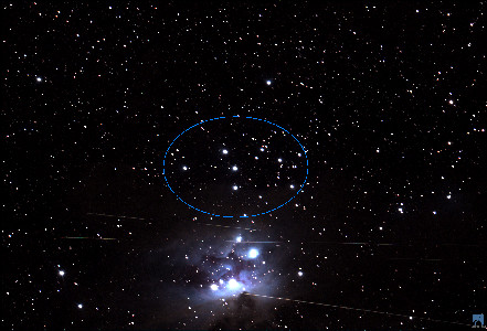 036 NGC 1981