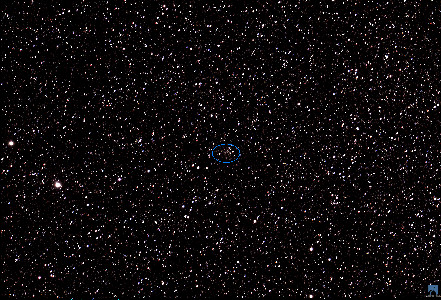 19  NGC 7423