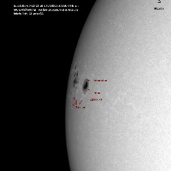 Sunspot AR 3372 labeled