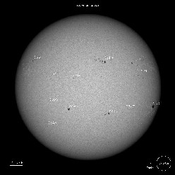 SDO Sunspots 6/24/23