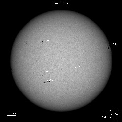 SDO Sunspots 7/4/2023