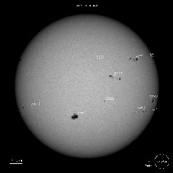 SDO Sunspots 7/11/23