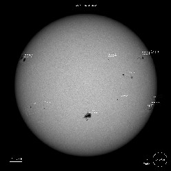 SDO Sunspots 7/12/23
