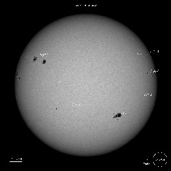 SDO Sunspots 7/14/23