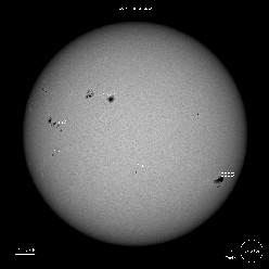 SDO Sunspots 7/16/23