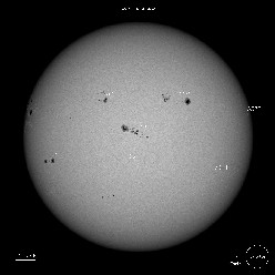 SDO Sunspots 7/19/23