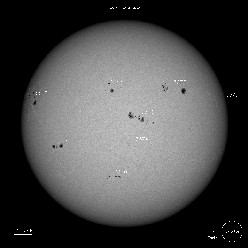 SDO Sunspots 7/20/23