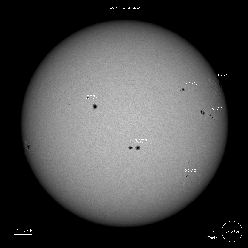SDO Sunspots 7/23/23